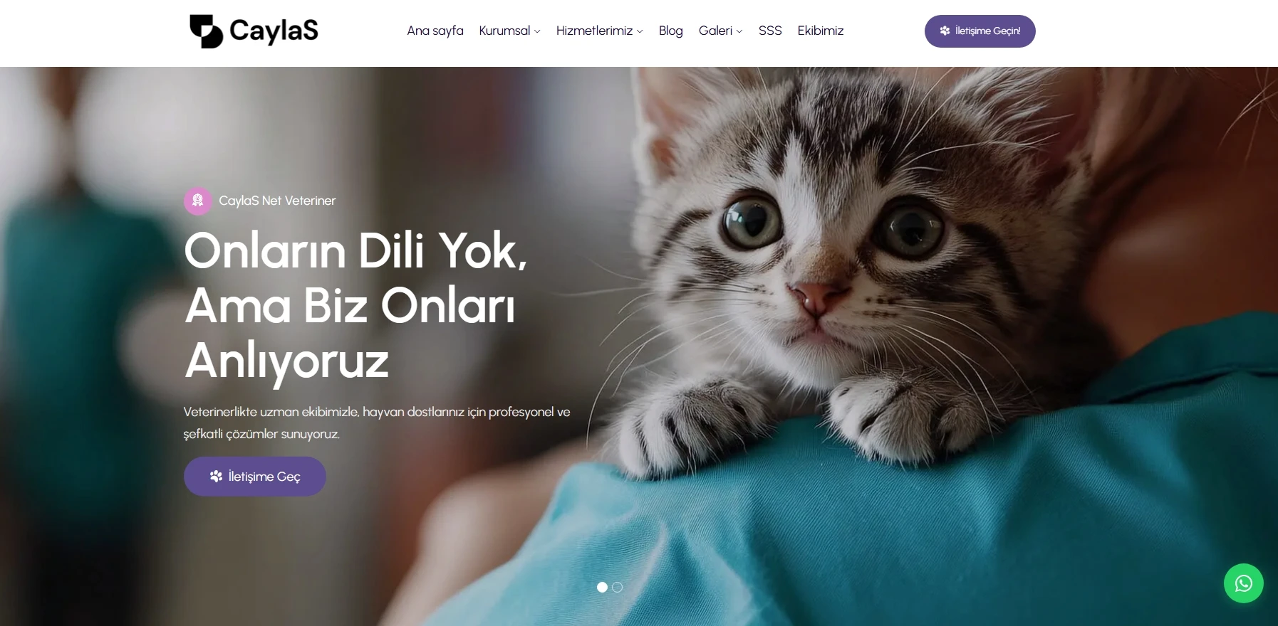 CaylaS Veteriner Yazılımı